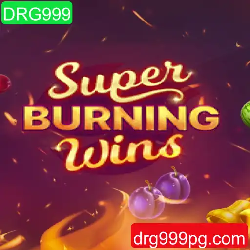 Descobrindo o Mundo de SuperBurningWins: Um Guia Definitivo